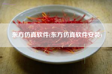 东方仿真软件(东方仿真软件安装)