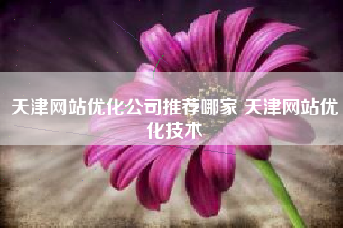 天津网站优化公司推荐哪家 天津网站优化技术