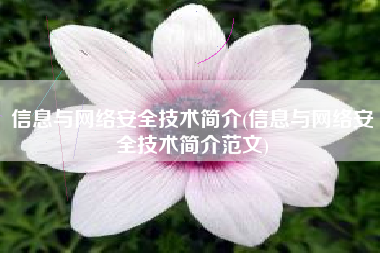 信息与网络安全技术简介(信息与网络安全技术简介范文)