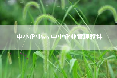 中小企业seo 中小企业管理软件