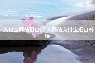 支付宝网站接口(个人网站支付宝接口对接)