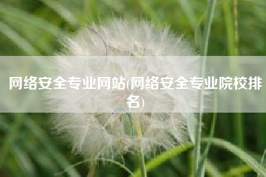 网络安全专业网站(网络安全专业院校排名)