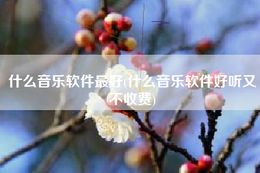 什么音乐软件最好(什么音乐软件好听又不收费)
