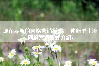 现在最新的网络营销模式(三种新型主流网络营销模式介绍)