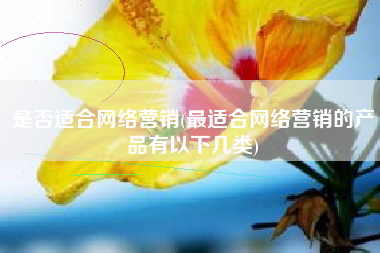 是否适合网络营销(最适合网络营销的产品有以下几类)