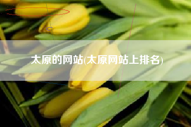 太原的网站(太原网站上排名)