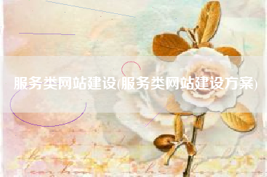 服务类网站建设(服务类网站建设方案)