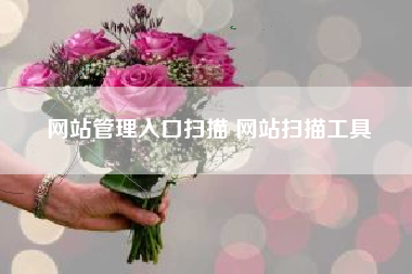 网站管理入口扫描 网站扫描工具