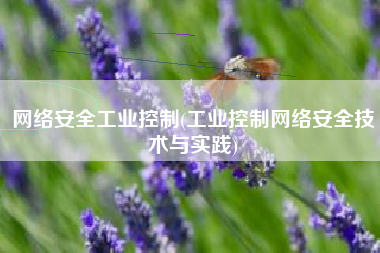 网络安全工业控制(工业控制网络安全技术与实践)