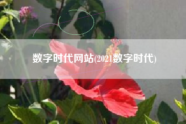 数字时代网站(2021数字时代)
