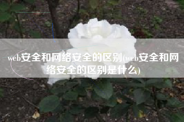 web安全和网络安全的区别(web安全和网络安全的区别是什么)