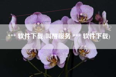 *** 软件下载(叫醒服务 *** 软件下载)