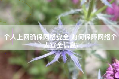 个人上网确保网络安全(如何保障网络个人安全信息)