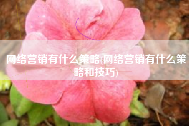 网络营销有什么策略(网络营销有什么策略和技巧)