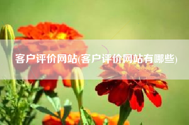 客户评价网站(客户评价网站有哪些)