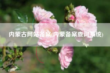 内蒙古网站备案(内蒙备案查询系统)