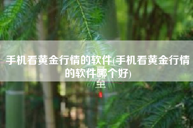 手机看黄金行情的软件(手机看黄金行情的软件哪个好)