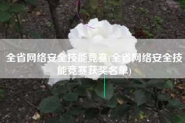 全省网络安全技能竞赛(全省网络安全技能竞赛获奖名单)