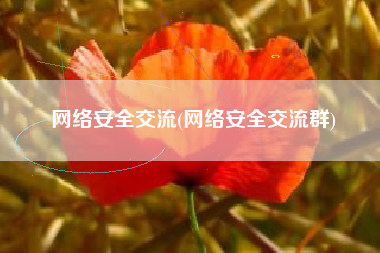 网络安全交流(网络安全交流群)