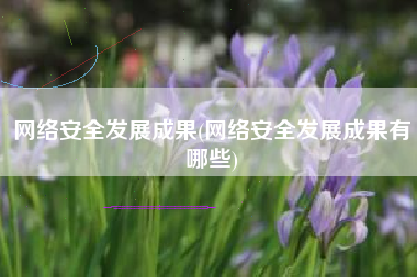 网络安全发展成果(网络安全发展成果有哪些)