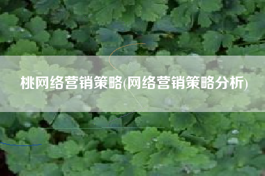 桃网络营销策略(网络营销策略分析)
