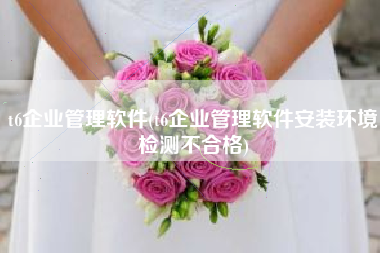 t6企业管理软件(t6企业管理软件安装环境检测不合格)
