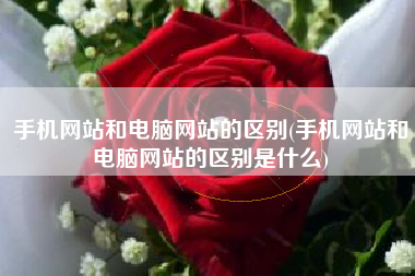 手机网站和电脑网站的区别(手机网站和电脑网站的区别是什么)