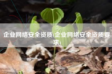 企业网络安全资质(企业网络安全资质要求)