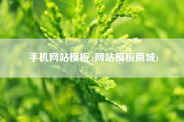 手机网站模板.(网站模板商城)