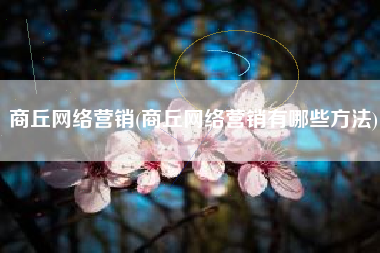 商丘网络营销(商丘网络营销有哪些方法)