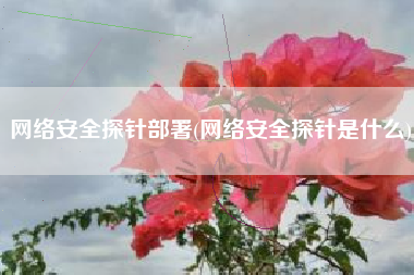 网络安全探针部署(网络安全探针是什么)