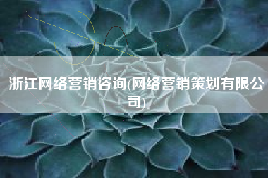 浙江网络营销咨询(网络营销策划有限公司)