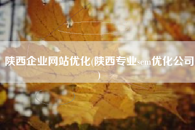 陕西企业网站优化(陕西专业sem优化公司)