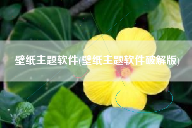 壁纸主题软件(壁纸主题软件破解版)