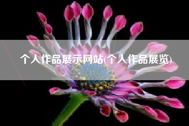 个人作品展示网站(个人作品展览)