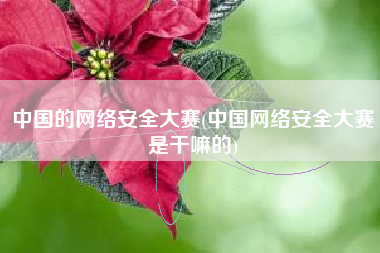 中国的网络安全大赛(中国网络安全大赛是干嘛的)