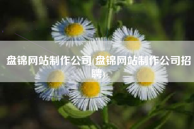 盘锦网站制作公司(盘锦网站制作公司招聘)