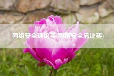 网络安全理论赛(网络安全总决赛)
