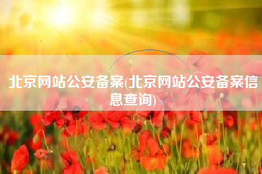 北京网站公安备案(北京网站公安备案信息查询)