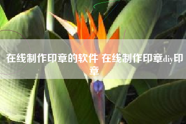 在线制作印章的软件 在线制作印章diy印章
