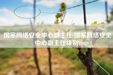 国家网络安全中心副主任(国家网络安全中心副主任级别)