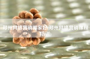 郑州网络营销哪家好(郑州网络营销课程培训)