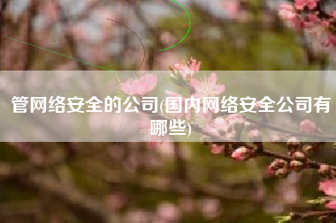 管网络安全的公司(国内网络安全公司有哪些)