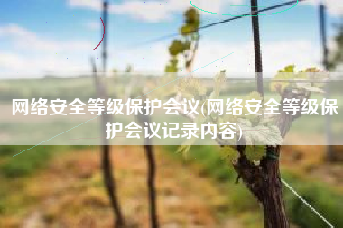 网络安全等级保护会议(网络安全等级保护会议记录内容)
