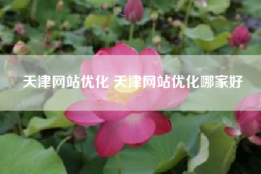 天津网站优化 天津网站优化哪家好