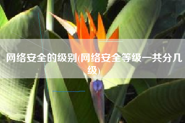 网络安全的级别(网络安全等级一共分几级)