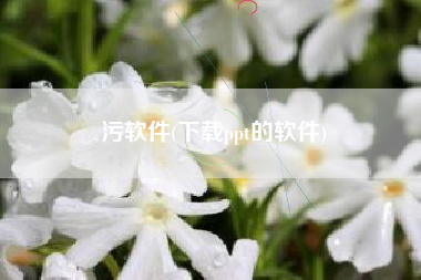 污软件(下载ppt的软件)