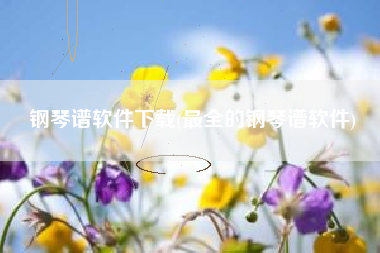 钢琴谱软件下载(最全的钢琴谱软件)