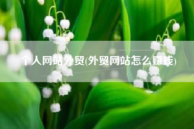 个人网站外贸(外贸网站怎么赚钱)