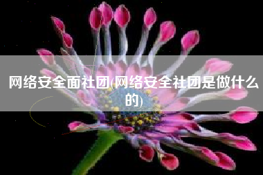 网络安全面社团(网络安全社团是做什么的)